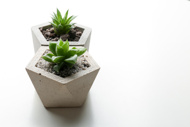 Photo of Succulent plants in concrete pots on white table, closeup. Space for text