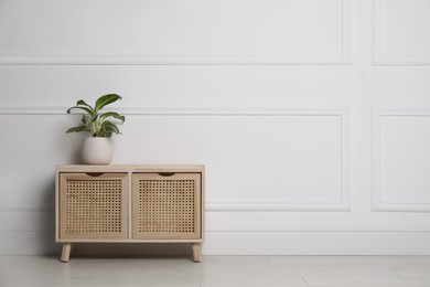 Green plant on wooden chest of drawers near white wall indoors. Interior design