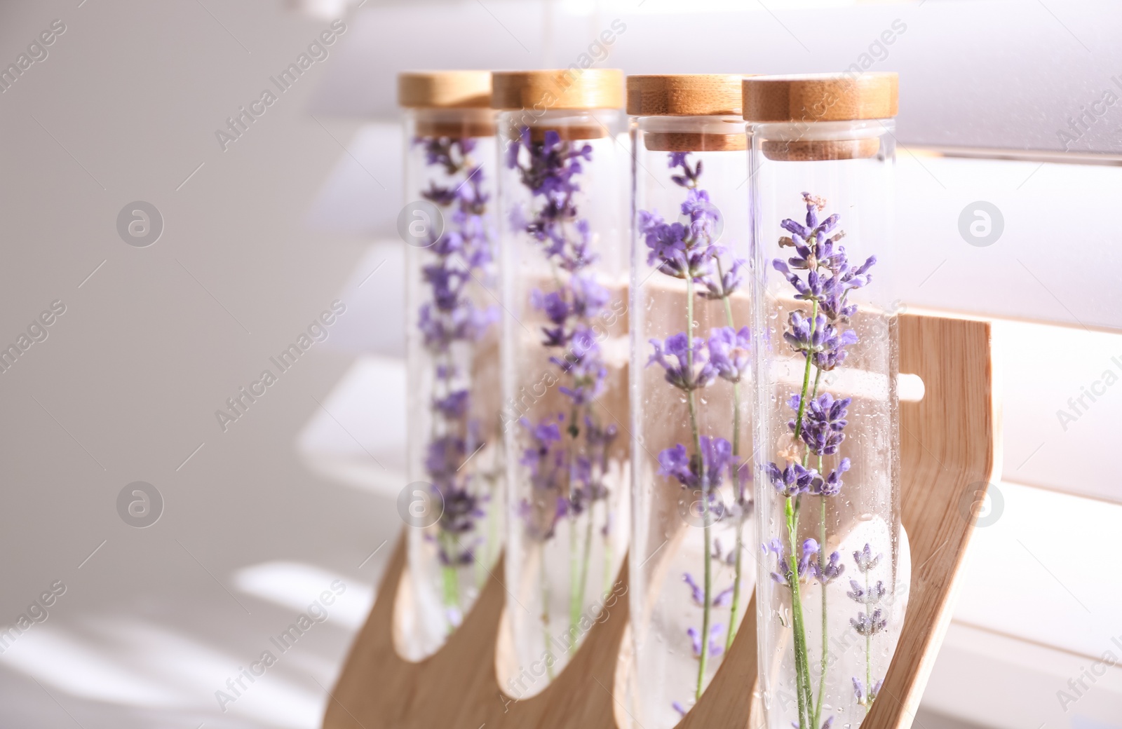 Photo of Beautiful lavender flowers near window indoors, closeup. Space for text