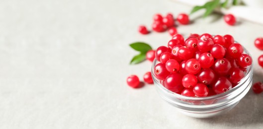 Image of Fresh cranberry in glass bowl on light table, space for text. Banner design