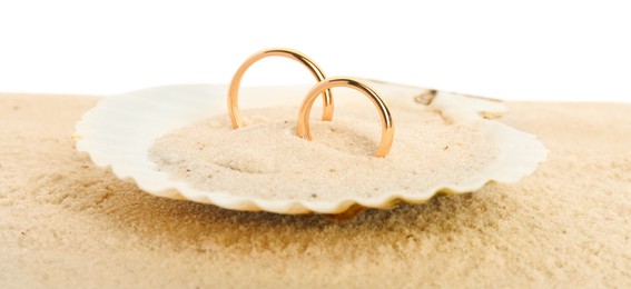 Photo of Honeymoon concept. Two golden rings in shell and sand isolated on white