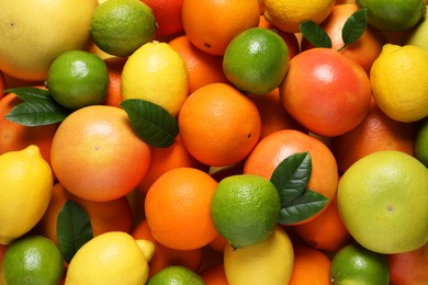 Photo of Different fresh citrus fruits and leaves as background, top view