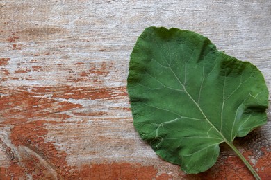 Photo of Fresh green burdock leaf on wooden table, top view. Space for text