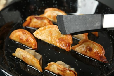 Cooking gyoza on frying pan with hot oil, closeup