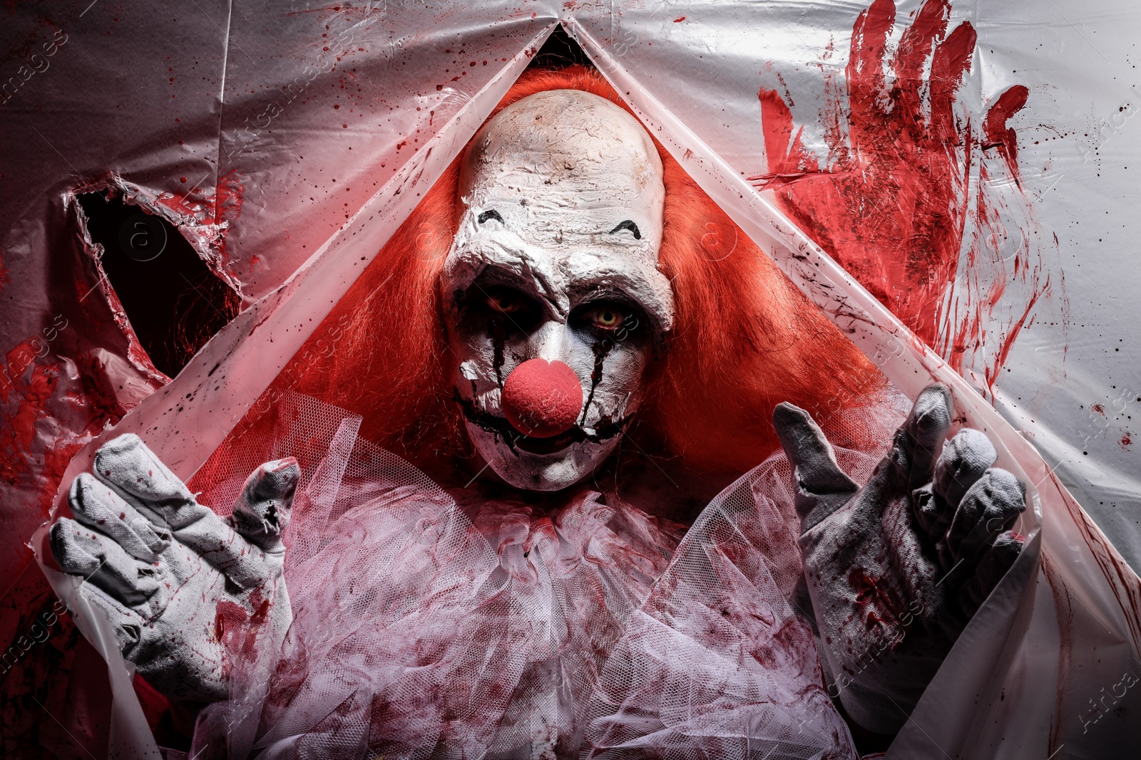 Photo of Terrifying clown staring through hole in torn bloodstained plastic film. Halloween party costume