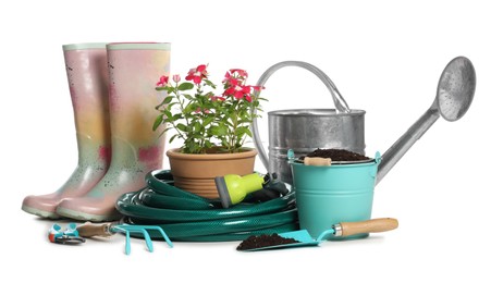 Photo of Gardening tools and houseplants on white background