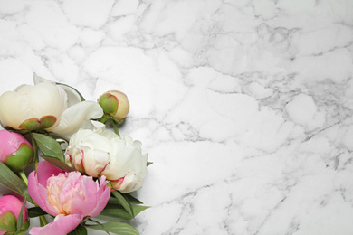 Beautiful peonies on white marble background, flat lay. Space for text