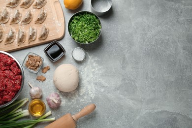 Photo of Flat lay composition with gyoza ingredients on light grey table, space for text