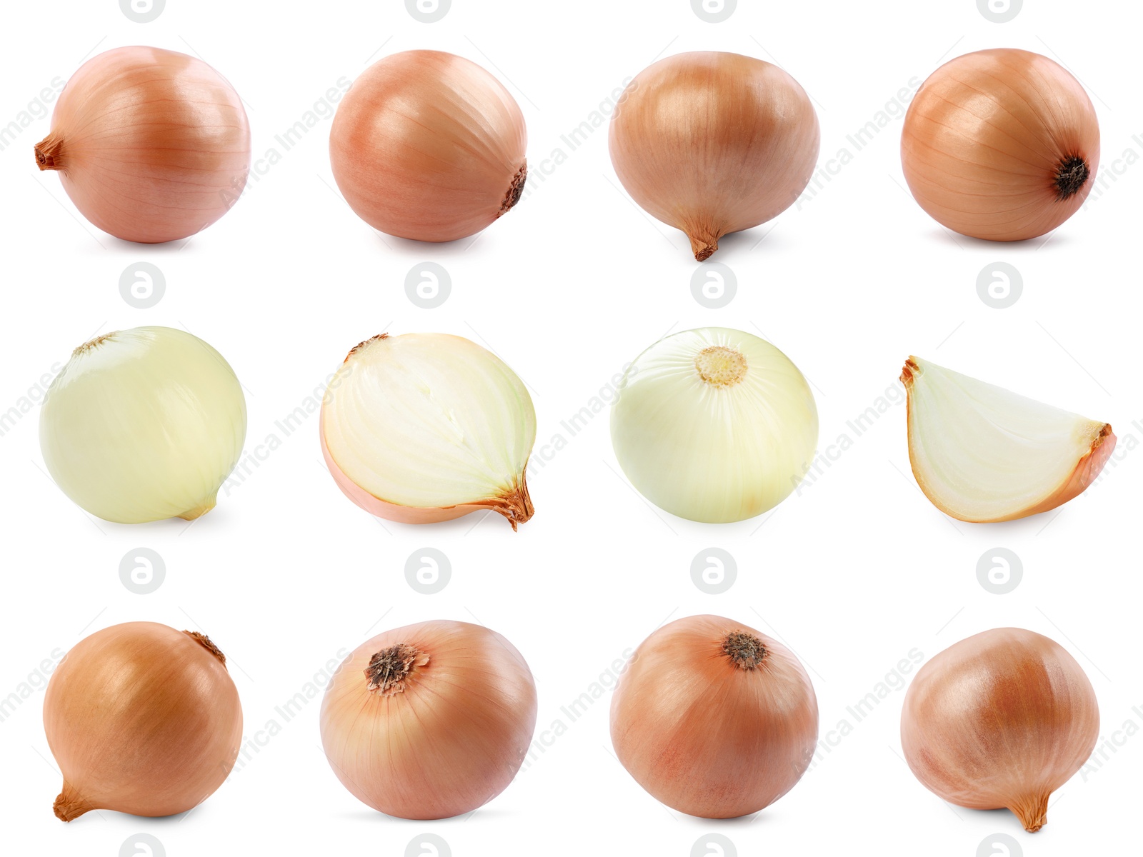 Image of Collage with fresh onions on white background