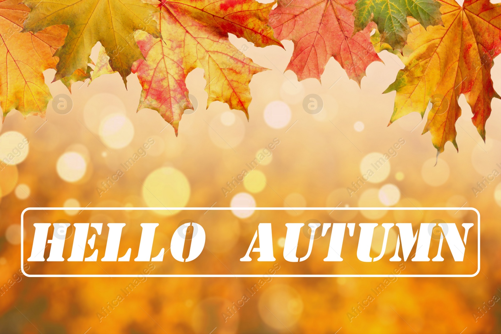 Image of Text Hello Autumn and beautiful leaves on blurred background, bokeh effect