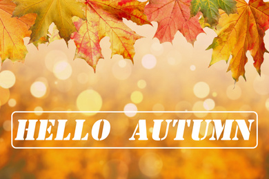 Image of Text Hello Autumn and beautiful leaves on blurred background, bokeh effect