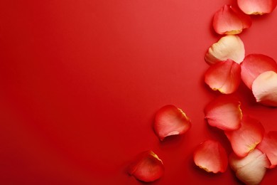 Beautiful fresh rose petals on red background, flat lay. Space for text