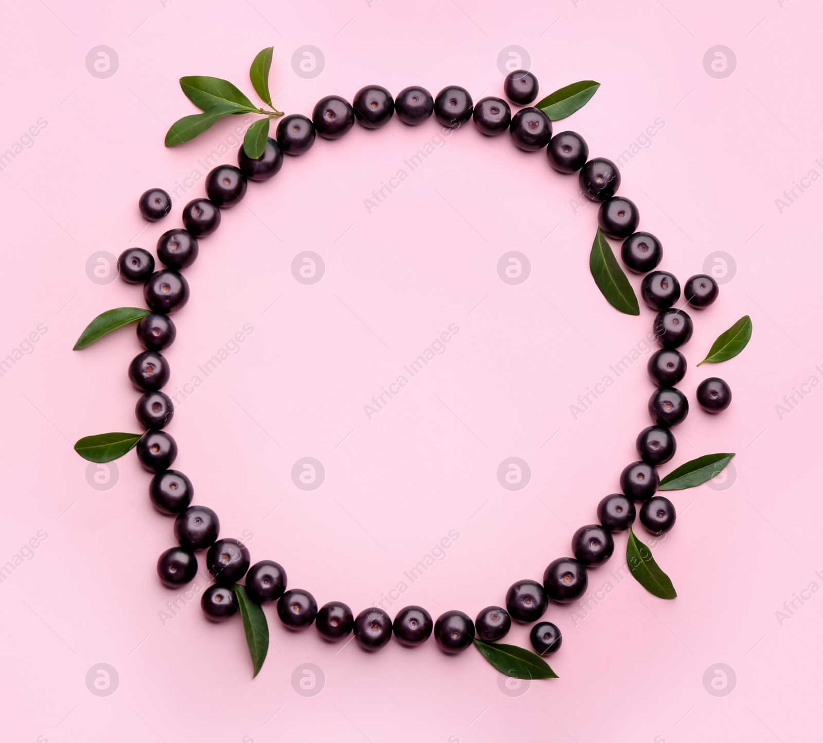 Photo of Frame made with acai berries and green leaves on pink background, flat lay. Space for text