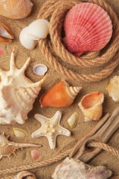 Photo of Beautiful sea star, shells and ropes on sand, flat lay