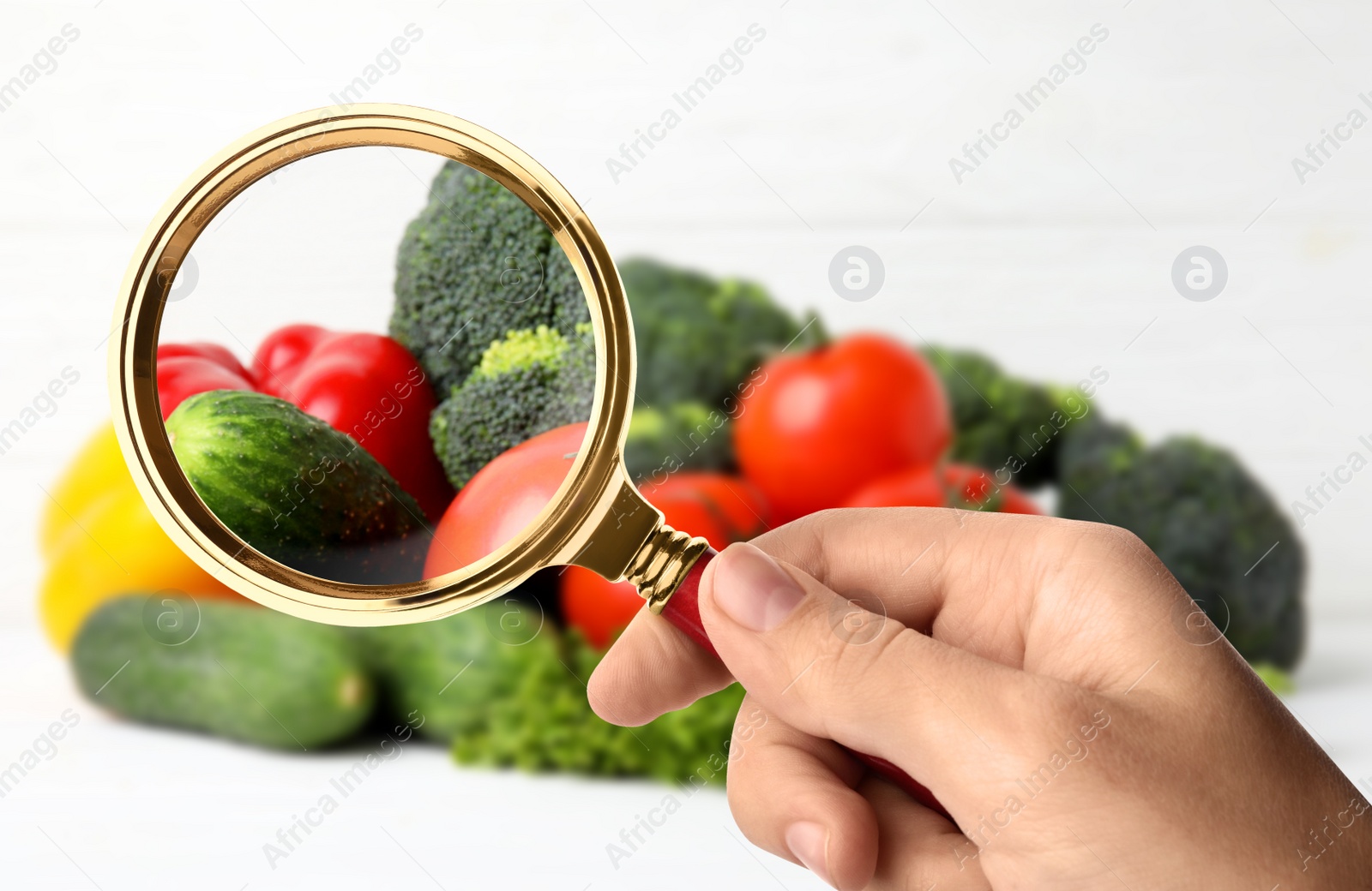 Image of Woman with magnifying glass exploring vegetables, closeup. Poison detection