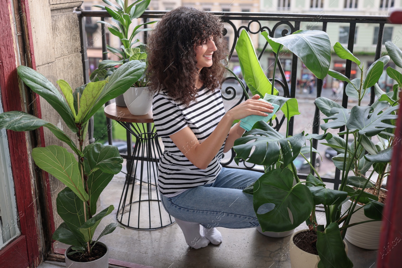 Photo of Happy young woman wiping beautiful houseplant leaf on balcony