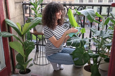 Happy young woman wiping beautiful houseplant leaf on balcony