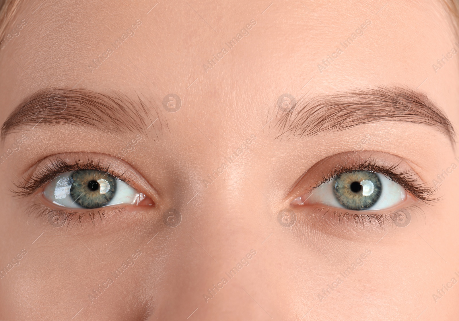 Photo of Young woman with beautiful natural eyelashes, closeup