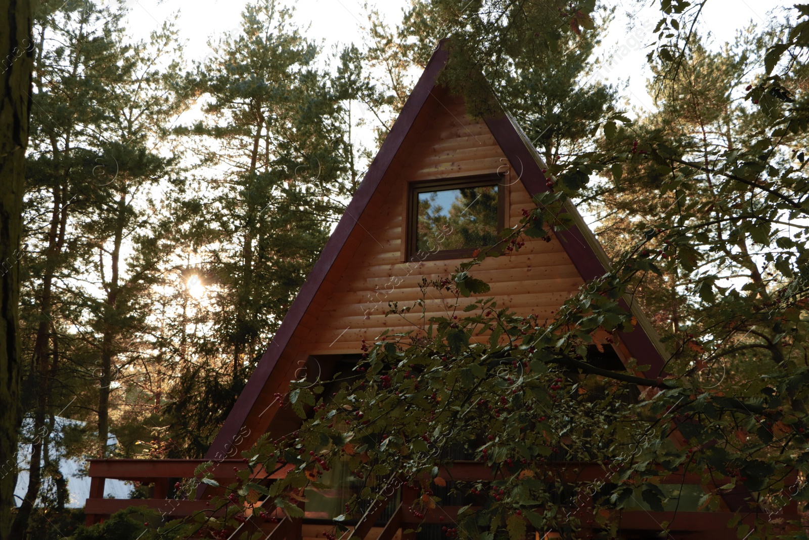 Photo of Picturesque view of modern wooden house with veranda near forest on sunny day