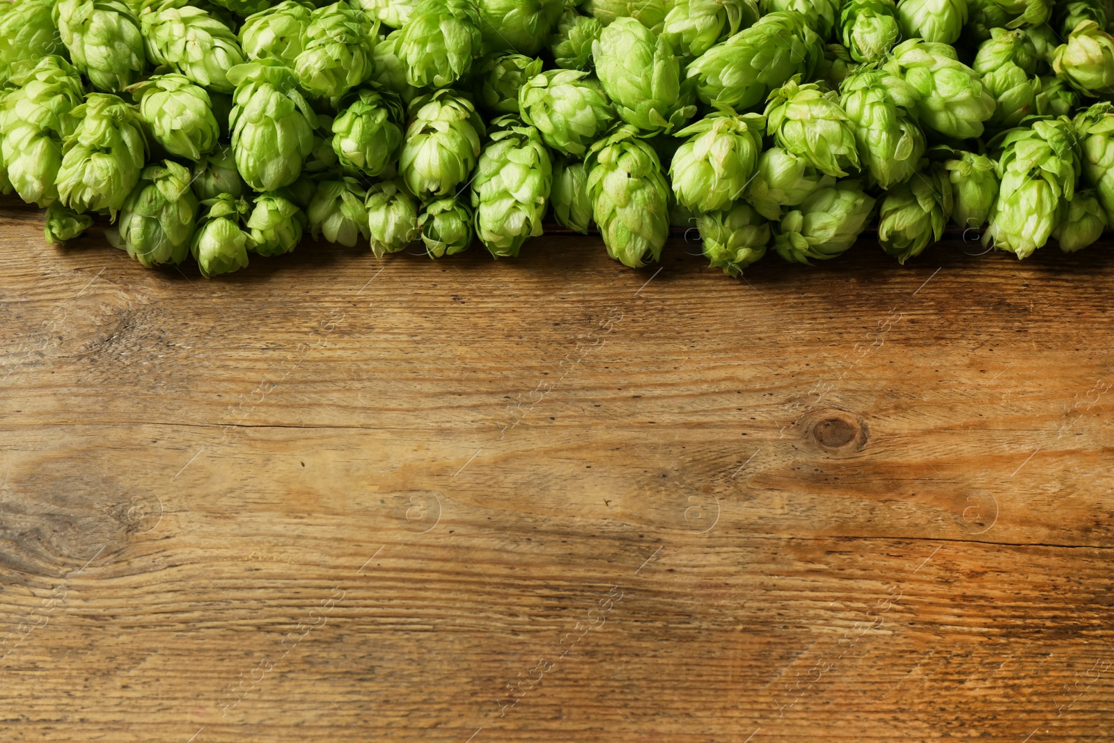 Photo of Fresh green hops on wooden table, top view. Space for text