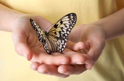 Woman holding beautiful rice paper butterfly on white background, closeup