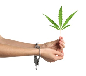 Photo of Woman in handcuffs holding hemp leaf on white background, closeup