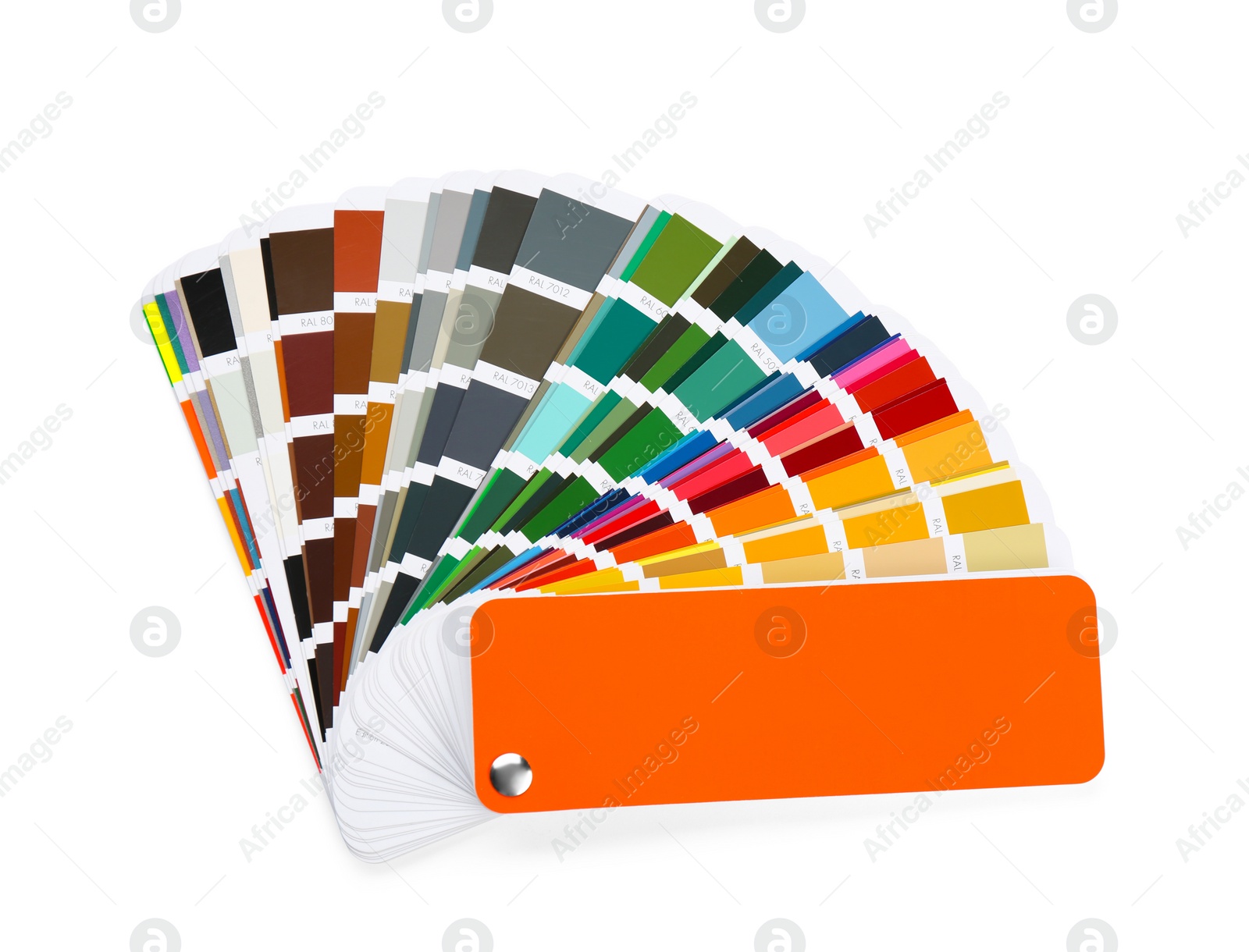 Photo of Color palette samples on white background