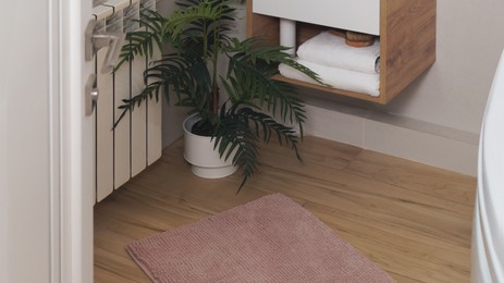 Soft bath mat near houseplant on wooden floor in bathroom