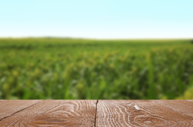 Image of Empty wooden surface in beautiful corn field. Space for text