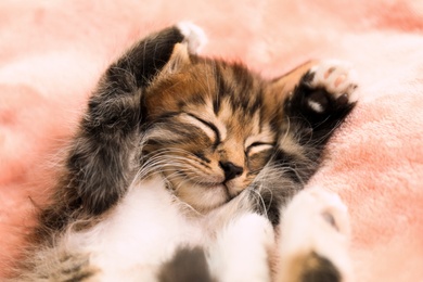 Photo of Cute sleeping little kitten on pink blanket, above view
