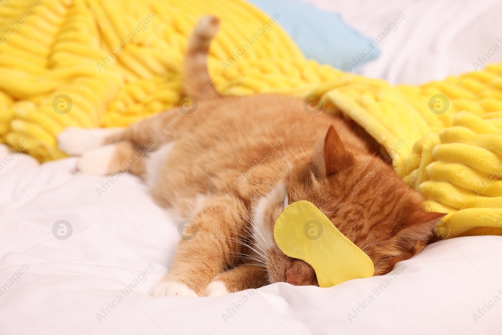 Photo of Cute ginger cat with sleep mask resting on bed