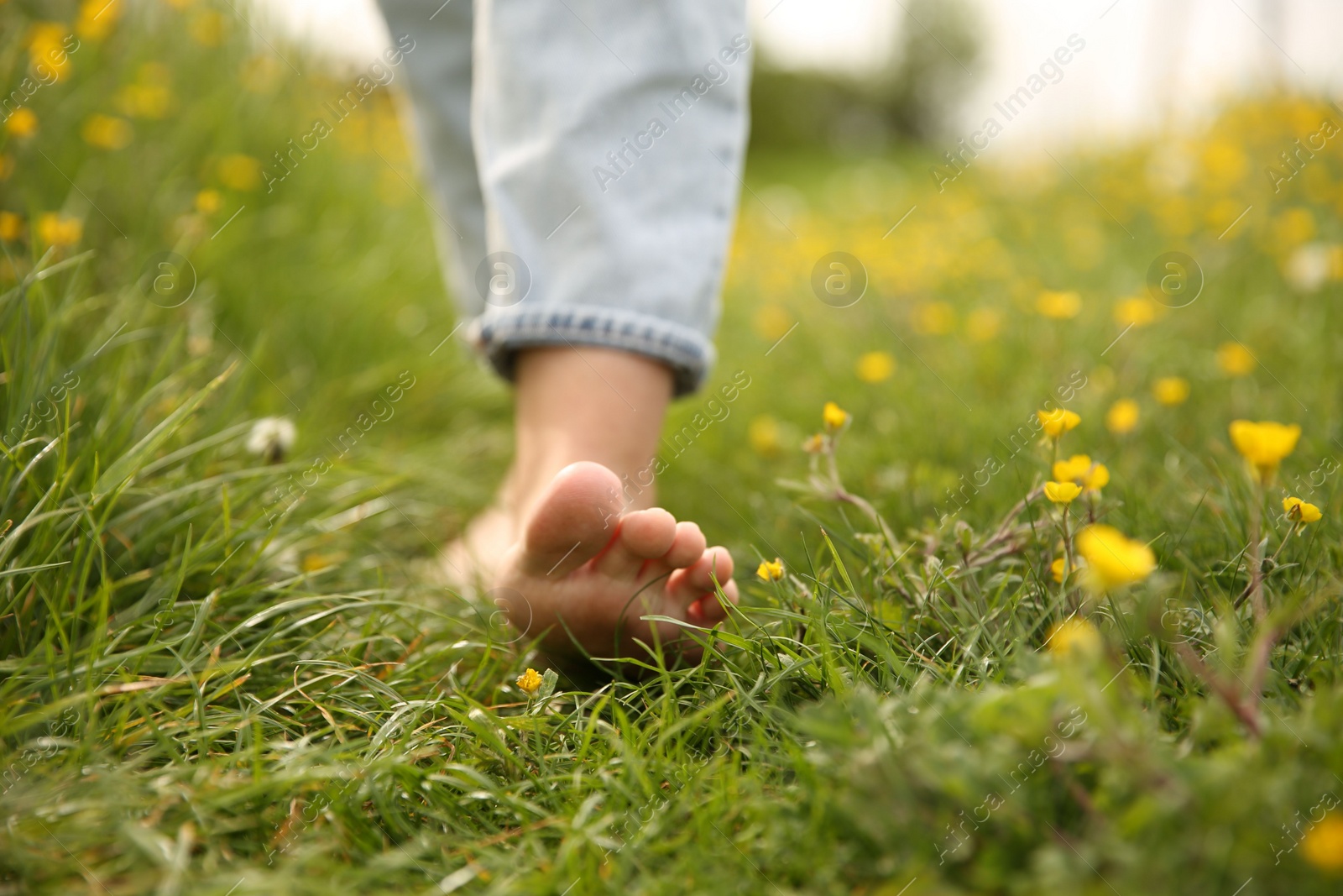 Photo of Woman walking barefoot on green grass outdoors, closeup