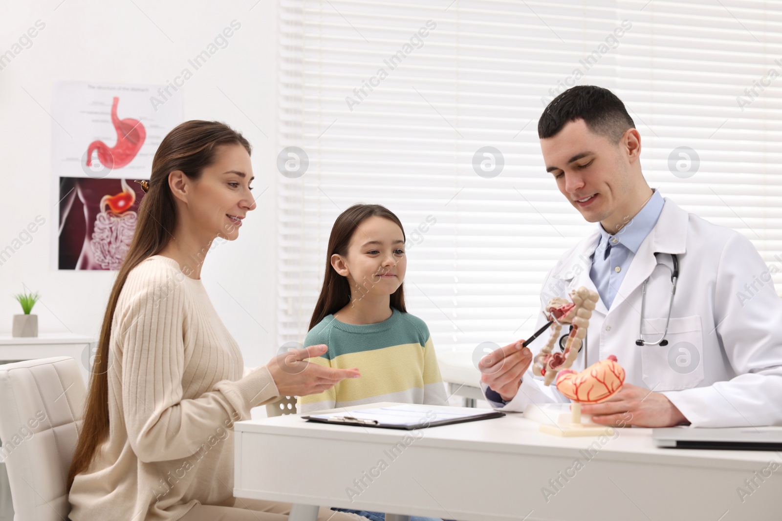 Photo of Gastroenterologist with models of stomach and intestine consulting woman and her daughter in clinic