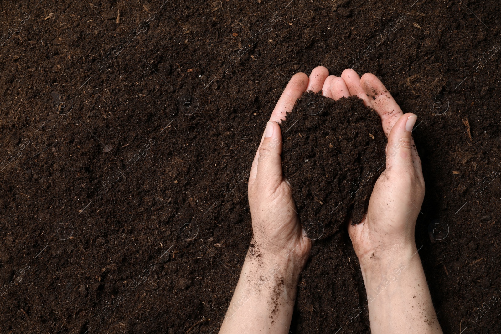 Photo of Woman holding fertile soil in hands, closeup with space for text. Gardening season