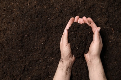 Woman holding fertile soil in hands, closeup with space for text. Gardening season