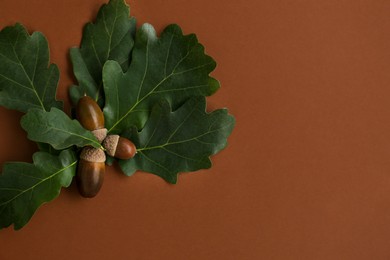 Acorns and green oak leaves on brown background, flat lay. Space for text