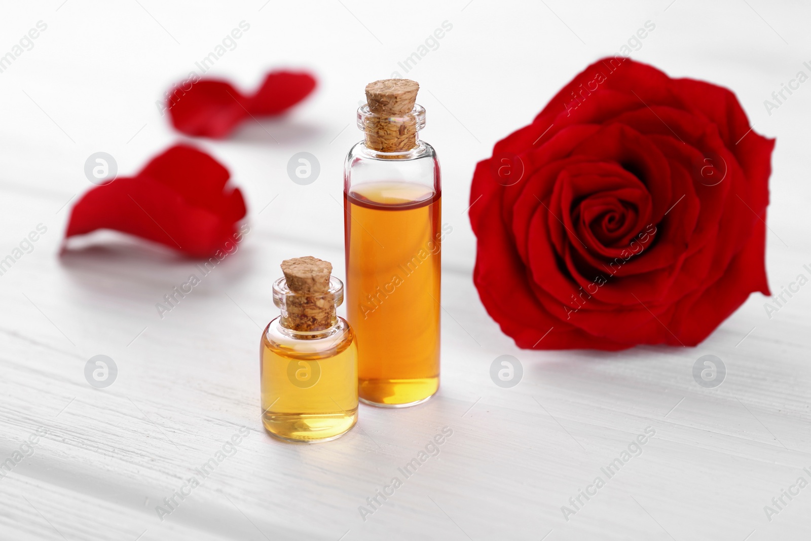 Photo of Bottles of essential oil and red rose flower on white wooden table