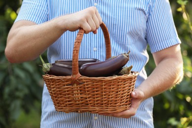 Man holding wicker basket with ripe eggplants outdoors, closeup