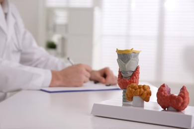 Photo of Doctor working at table in hospital, focus on thyroid gland models. Space for text