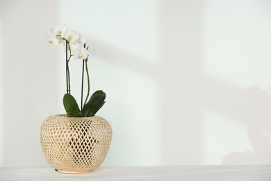 Blooming orchid flower in pot on white table near wall, space for text