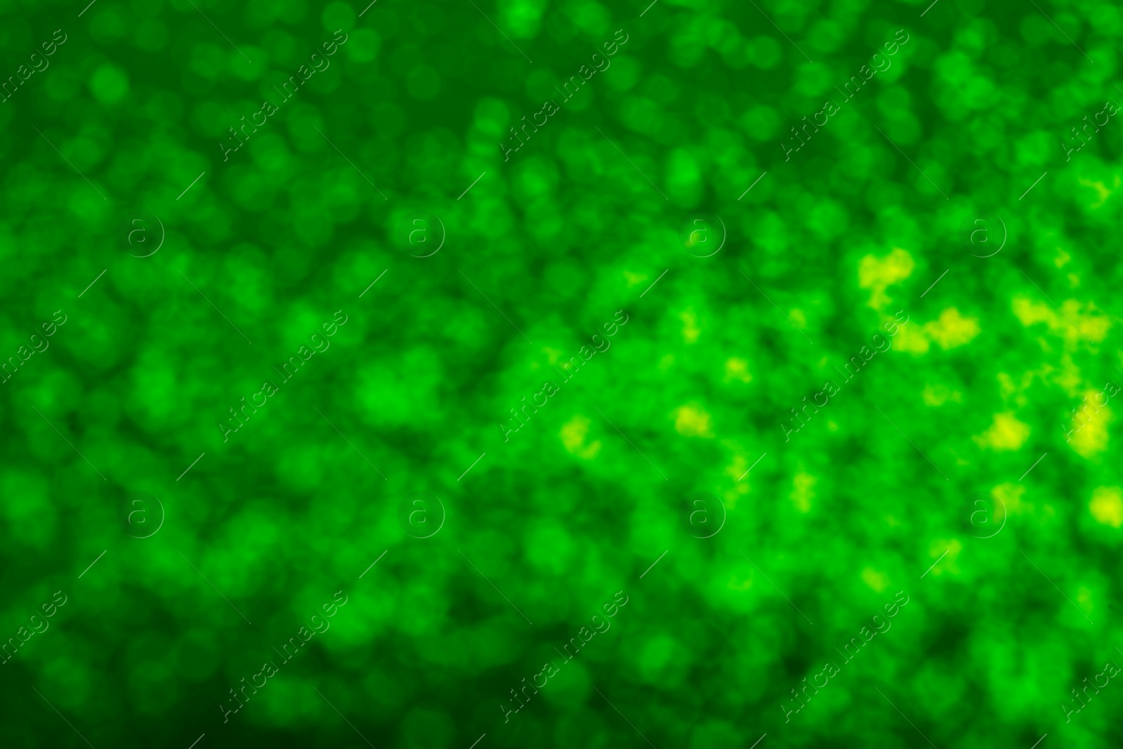 Image of St. Patrick day. Green background with blurred lights, bokeh effect