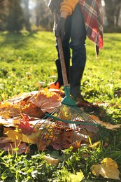 Woman raking fall leaves in park, closeup