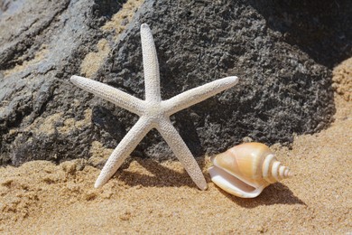 Photo of Beautiful starfish and sea shell near black stone on sandy beach