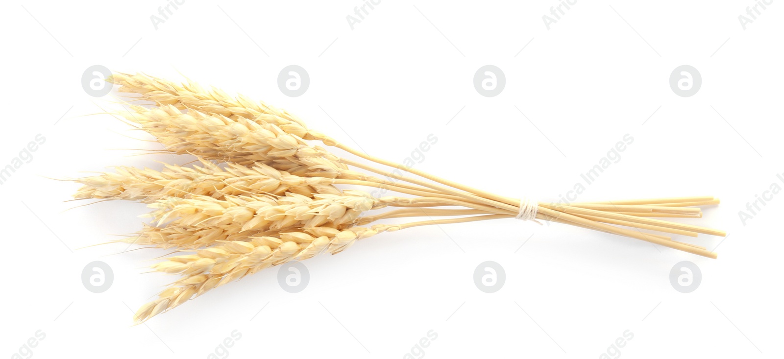 Photo of Spikelets on white background. Healthy grains and cereals