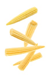 Image of Tasty baby corn cobs flying on white background