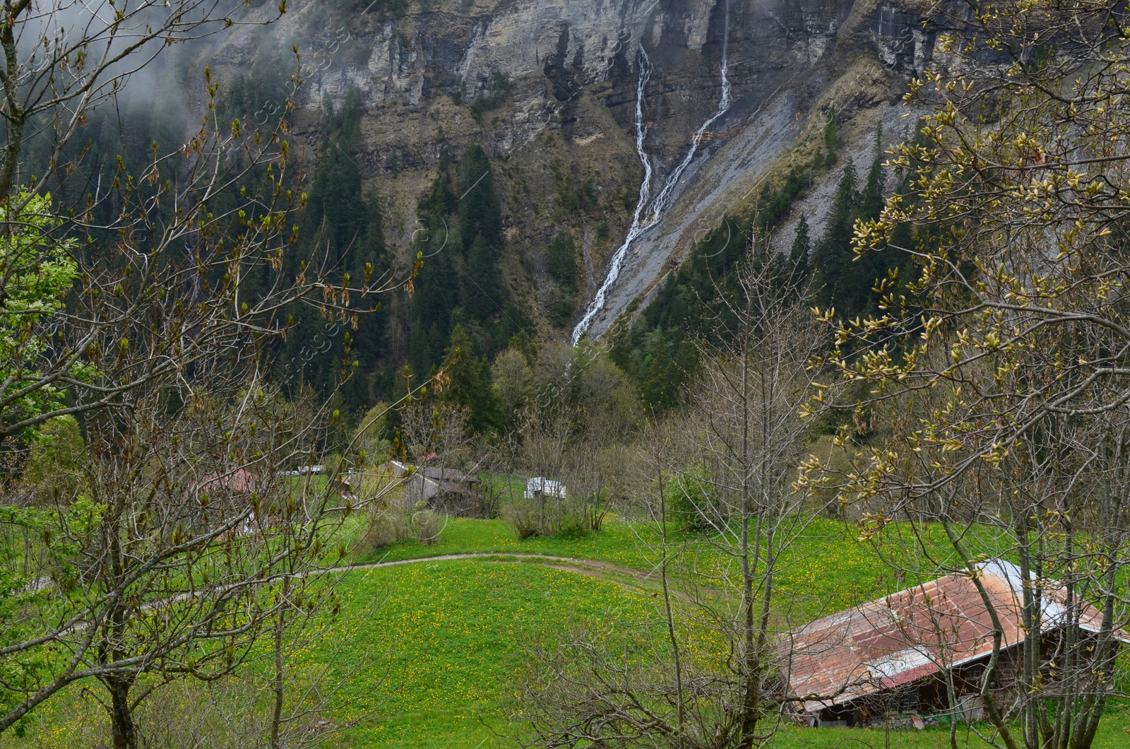 Photo of Picturesque view of forest and waterfall in mountains