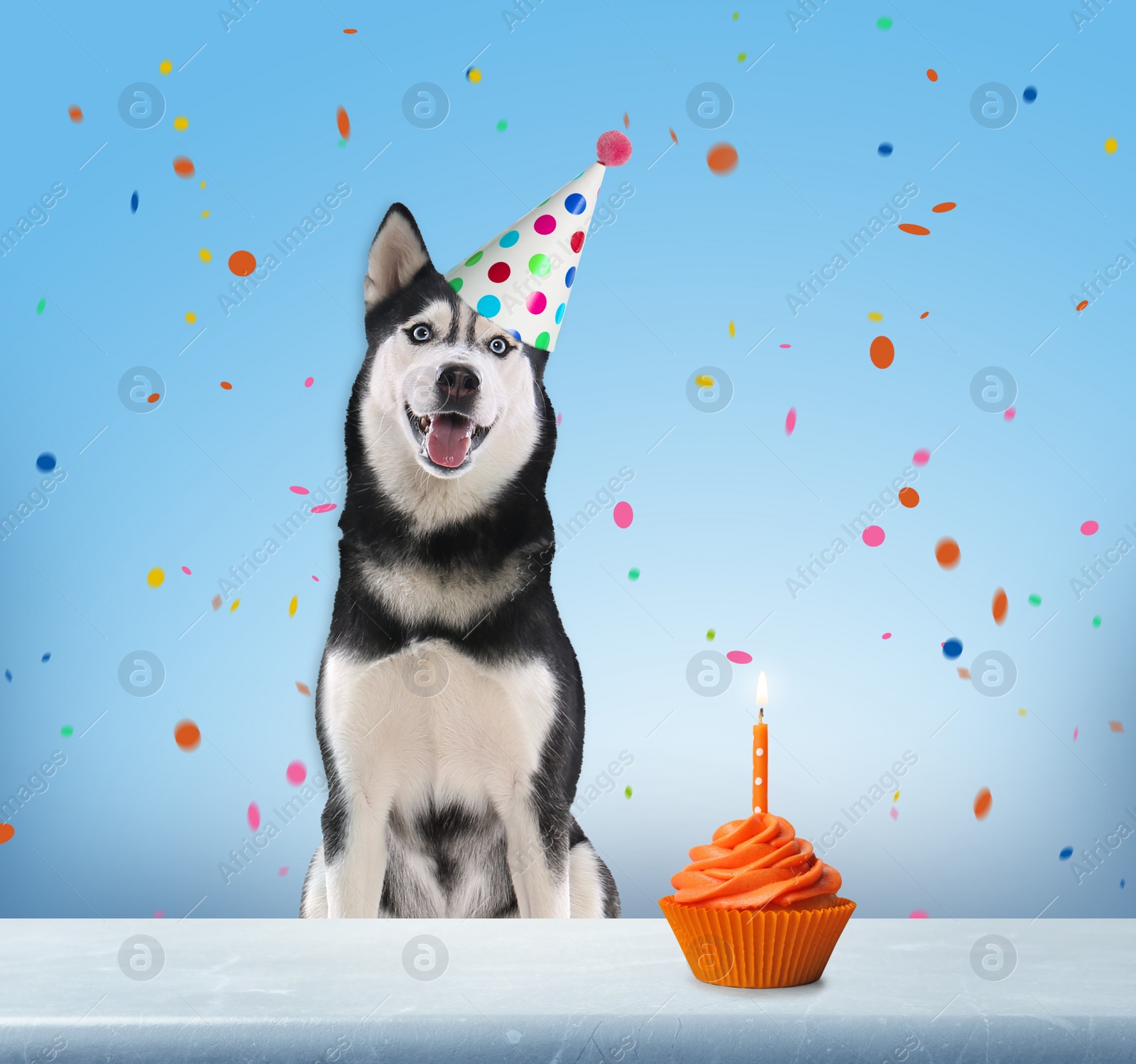 Image of Cute dog with party hat and delicious birthday cupcake on light blue background