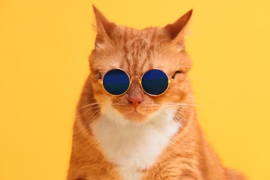 Photo of Portrait of cute ginger cat in stylish sunglasses on yellow background