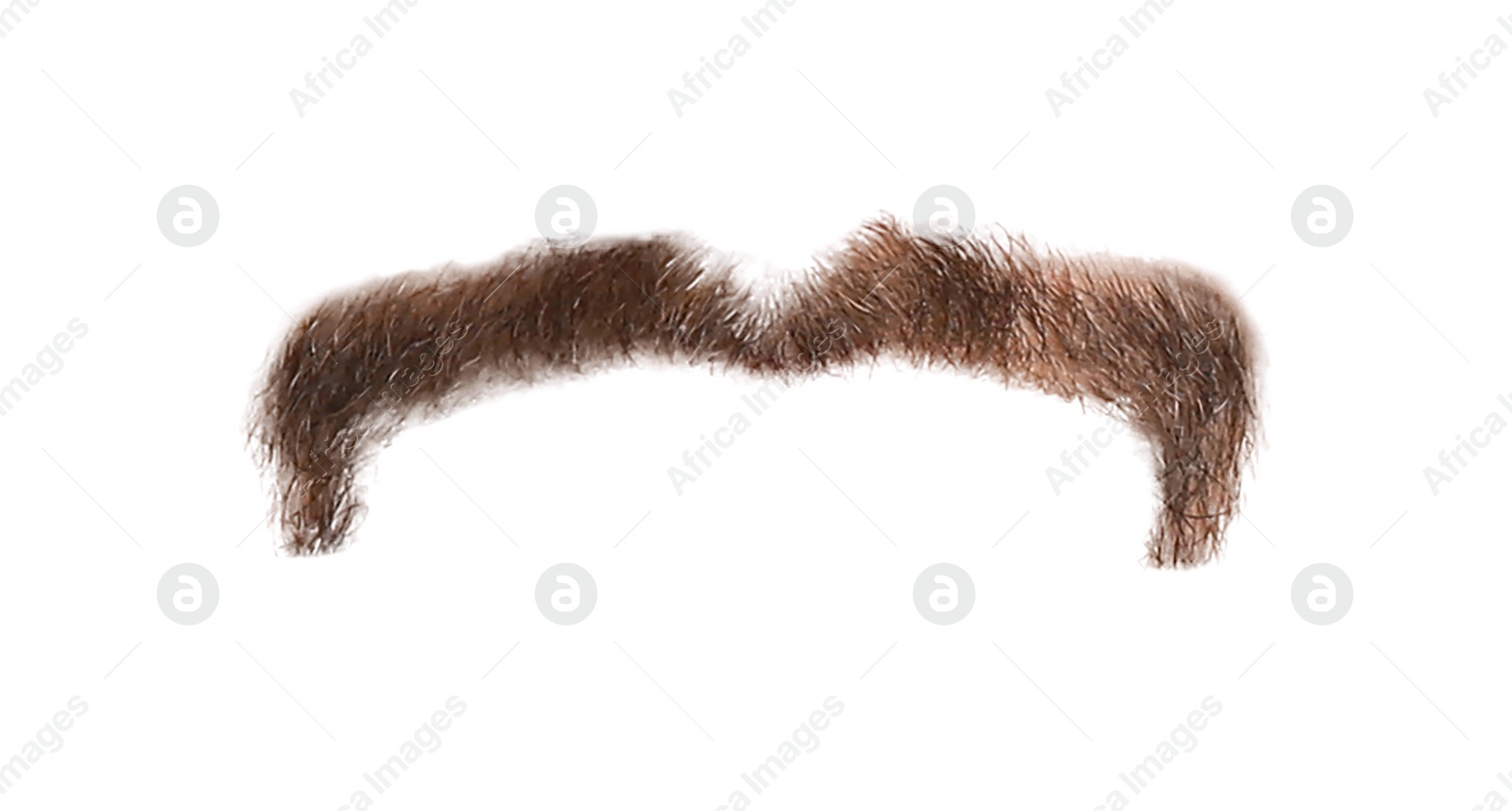 Image of Stylish brown mustache isolated on white. Facial hair