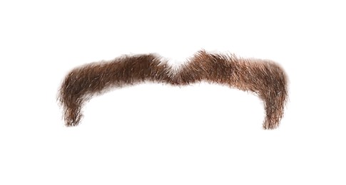 Image of Stylish brown mustache isolated on white. Facial hair